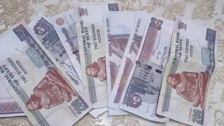 related_news_inside_blogsسعر الدولار الأميركي مقابل الجنيه المصري اليوم الثلاثاء 7/7/2026.. "الأخضر"دون 50 جنيها