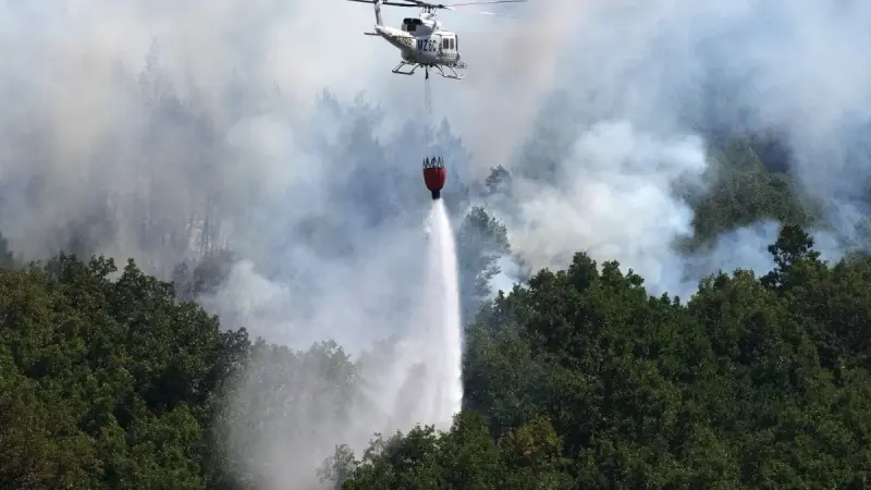 حرائق الغابات تلتهم أكثر من مليون هكتار في أوروبا