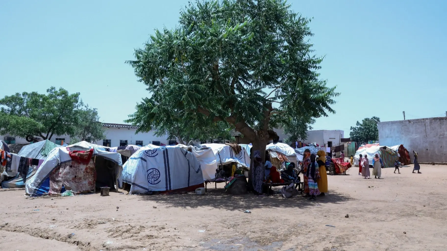 31 دولة بينها الولايات المتحدة تحذر من خطر المجاعة في السودان (رويترز) 31 دولة بينها الولايات المتحدة تحذر من خطر المجاعة في السودان (رويترز)
