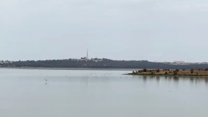 فيديو - بحيرة "السيجومي" بتونس تواجه خطر الجفاف