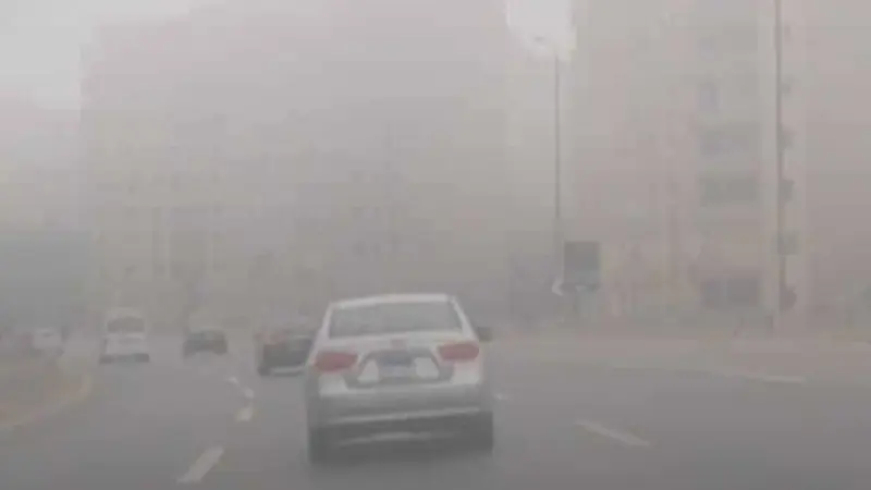 إليكم تفاصيل حالة الطقس غدا الجمعة في مصر