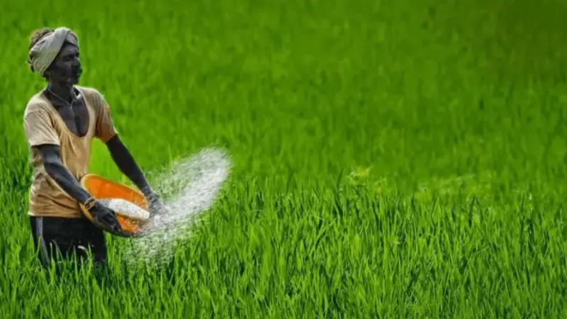 الأسعار بخطر.. الهند تفرض المزيد من القيود على صادرات الأرز