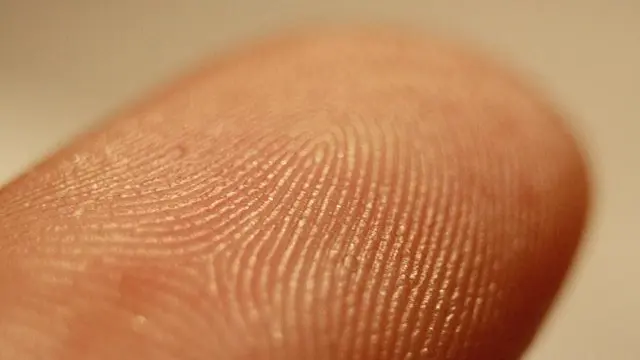 بعد نصف قرن.. بصمة إصبع على علبة سجائر تحلّ لغز جريمة قتل