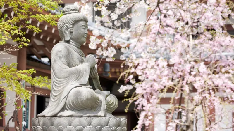 السياحة تنتعش في اليابان.. 43 مليون زائر خلال 2025