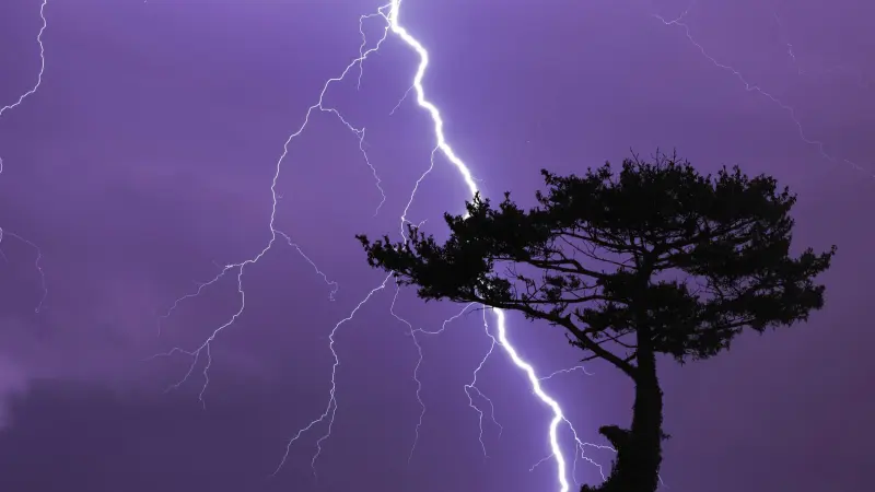 فيديو - لحظات مرعبة.. صاعقة كادت تقتل لاعبة تنس