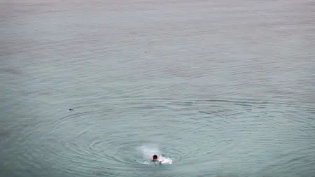 related_news_inside_blogsمقتل 900 شخص خلال محاولتهم الهجرة عبر البحر الأحمر خلال 2025