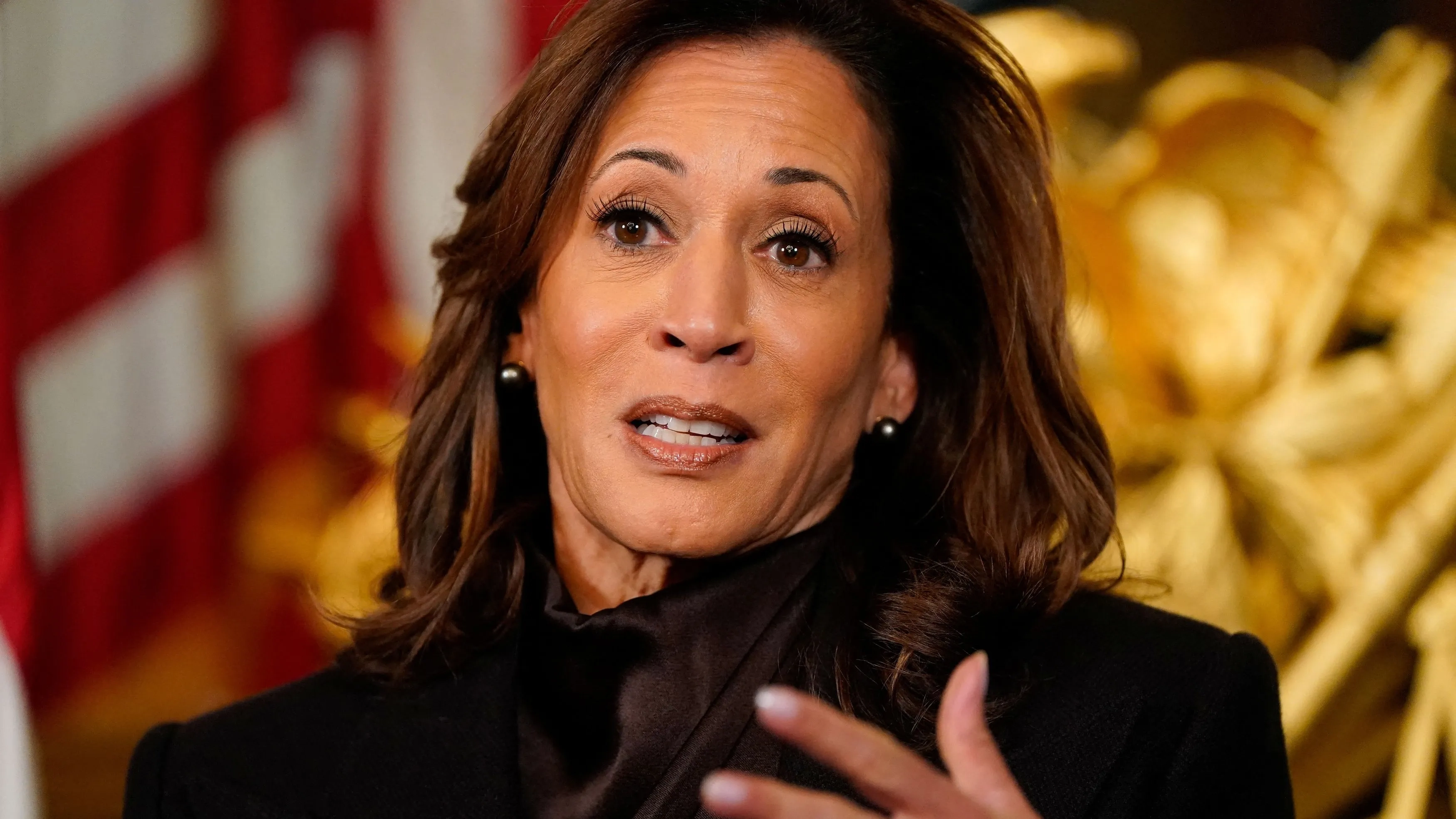 كامالا هاريس: الحلم الأميركي ينهار 