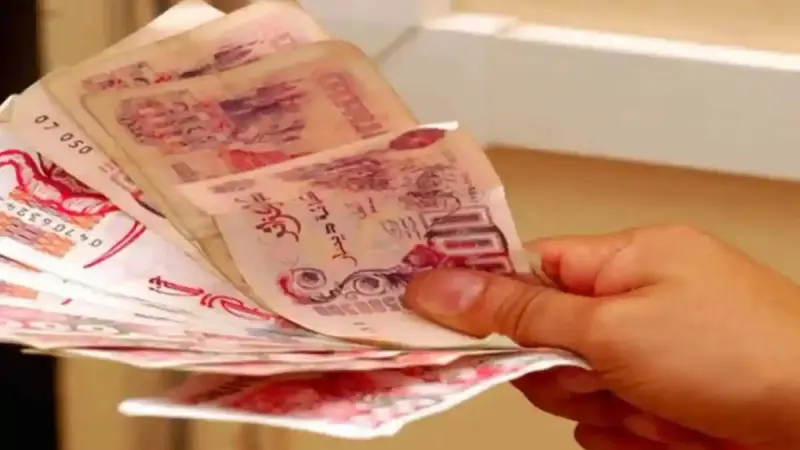 كيفية تجديد منحة البطالة 2026 في الجزائر بعد التحديث الجديد؟ الرابط والشروط