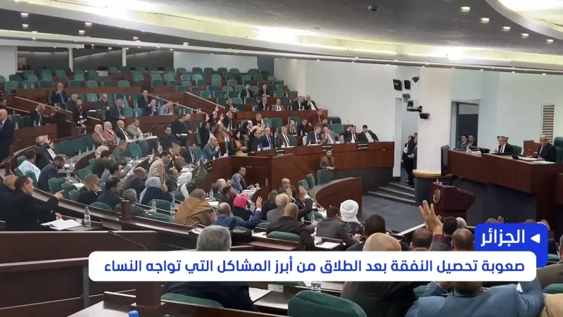 فيديو - البرلمان الجزائري يقر تحديثا لقانون نفقة الأرامل والمطلقات