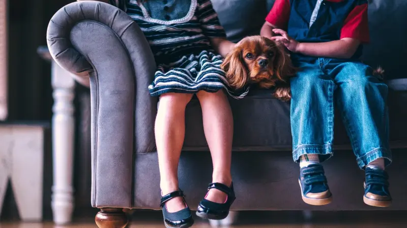 دراسة.. تربية الكلاب تحمي الأطفال من الربو