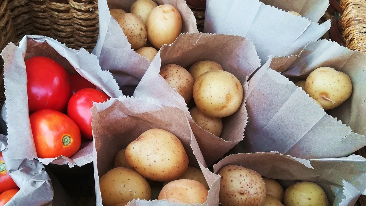 الطماطم أصل البطاطس.. قصة تطور غيّرت غذاء العالم 