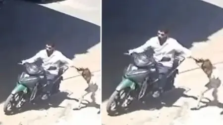 فيديو - عمرها 7 سنوات.. مقطع صادم لأب يسحل ابنته في الشارع
