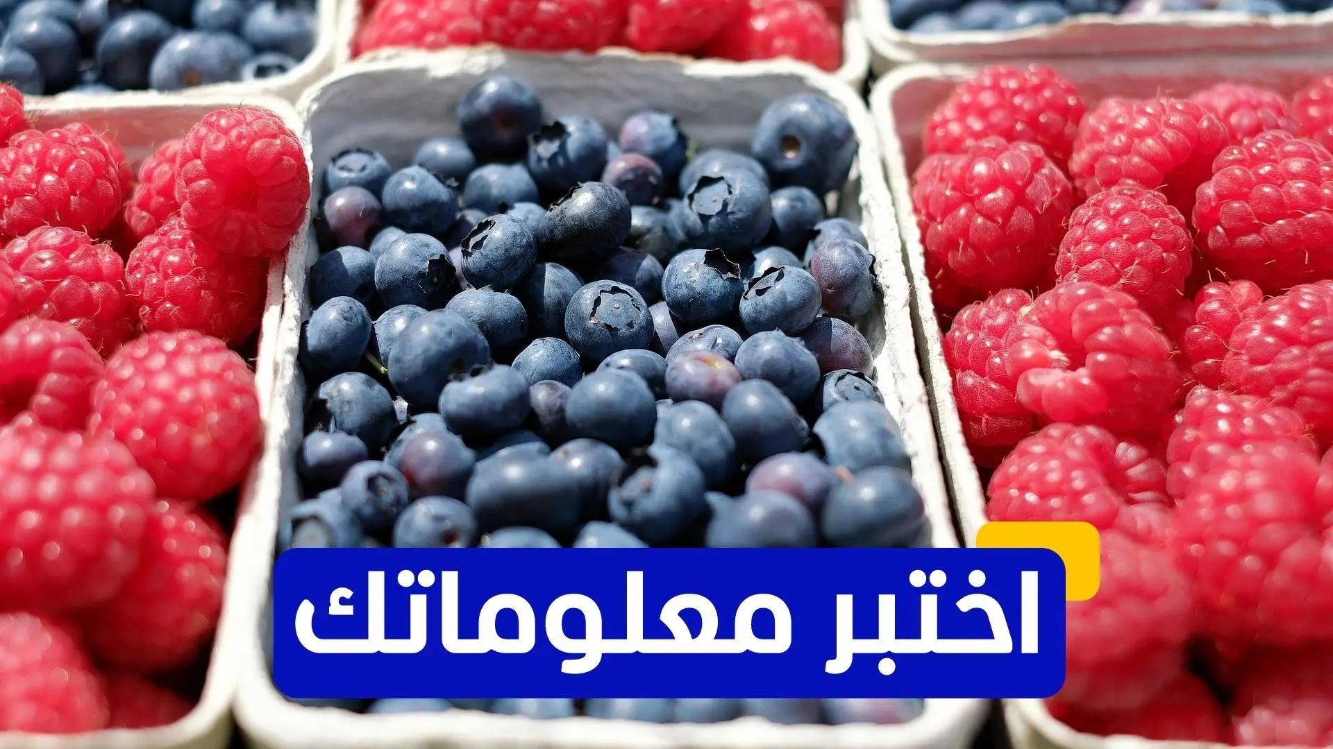 خضروات وفواكه تعوّض تأثير قلة النوم على الصحة خضروات وفواكه تعوّض تأثير قلة النوم على الصحة