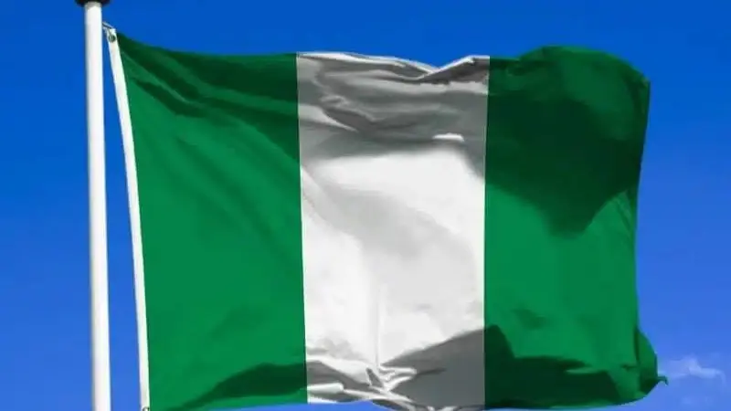 كم عدد سكان نيجيريا 2024.. عملاق إفريقيا الديموغرافي