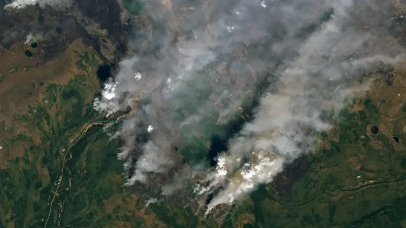 بفعل حرائق الغابات.. الانبعاثات الكربونية تسجل مستوى قياسيا