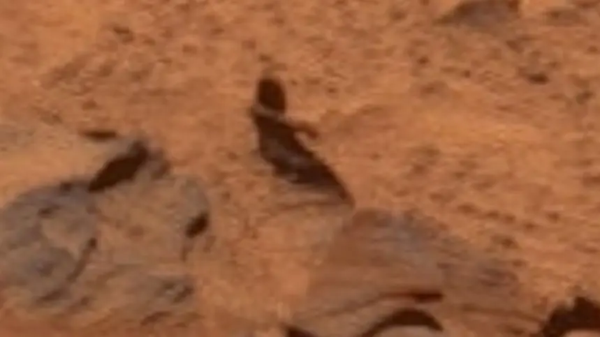 صورة جديدة تظهر رجلا يمشي على المريخ (إكس) صورة جديدة تظهر رجلا يمشي على المريخ (إكس)