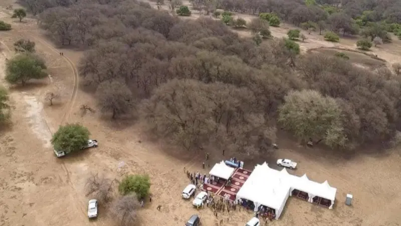 غابات موريتانيا تتعرض لتدمير مُمنهج.. والسّلطات تتحرك