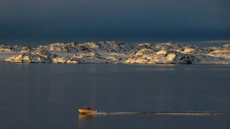 related_news_inside_blogsتضاعف 6 مرات.. ذوبان غرينلاند يدخل مرحلة الانفجار