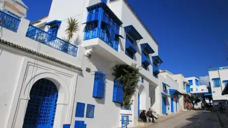 related_news_inside_blogsأيقونة السياحة التونسية "سيدي بوسعيد" في خطر