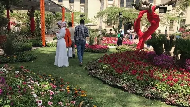 موعد معرض الزهور 2025 بمصر.. تجربة ممتعة لمحبي الورود والنباتات