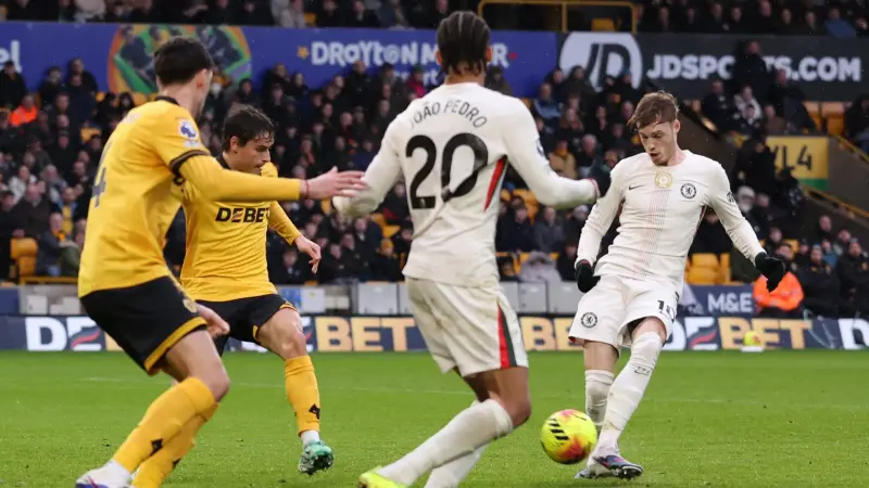 فيديو - كول بالمر ينفجر بـ"هاتريك" ويرد على شائعات رحيله عن تشيلسي