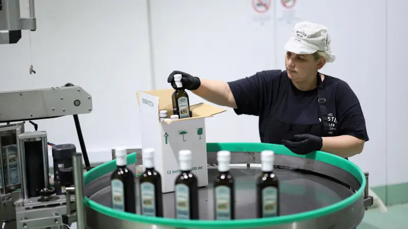 موسم زيت الزيتون في المغرب.. أسعار منخفضة وقلق من الغش