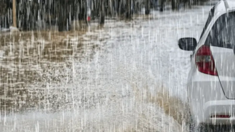 احذروا من التقلبات.. أمطار رعدية متوقعة في الجزائر