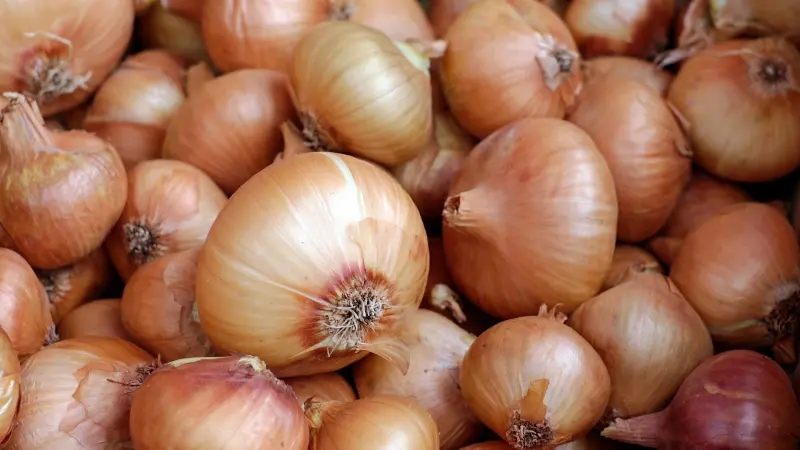 هذا هو السبب وراء ارتفاع أسعار البصل في مصر