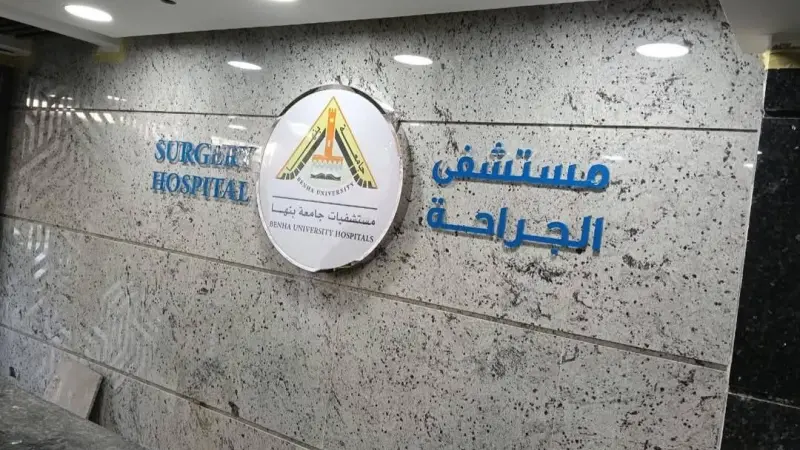 مصر.. سبب وفاة أبناء دكتورة ابتسام نصر أستاذ الجراحة بطب بنها