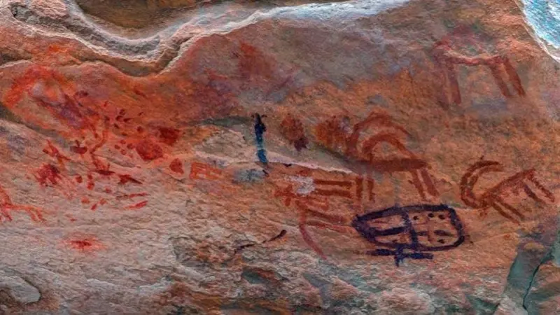 صور - اكتشاف نادر.. نقوش صخرية تعود إلى 10 آلاف سنة في سيناء