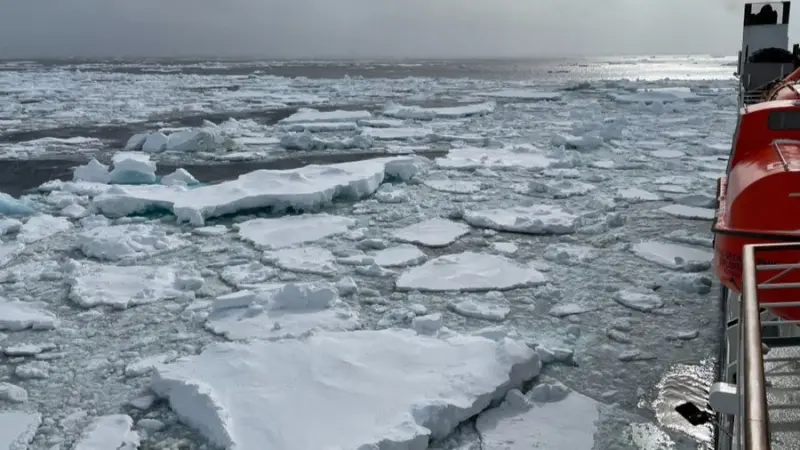 فيديو - بعد 3 عقود.. أكبر جبل جليدي في العالم يتحرّك