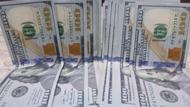 الدولار يتجاوز 50 جنيها في مصر.. خبير يكشف التطورات المقبلة