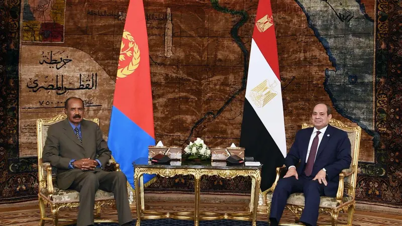 فيديو - تحالف مصري إريتري لقطع طريق إثيوبيا إلى البحر الأحمر.. هل ينجح؟