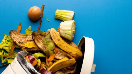 related_news_inside_blogsنفايات الطعام تتحول إلى بروتين.. هل يأكل العالم بقاياه قريبا؟
