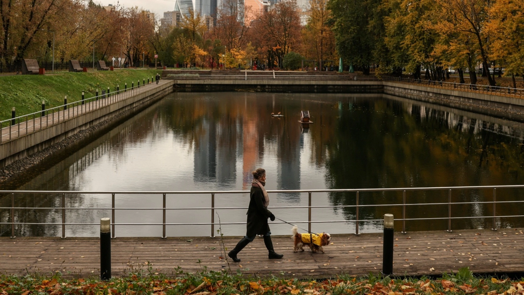 دراسة: الكلاب تغير ميكروبات الأمعاء بما يفيد الصحة النفسية 