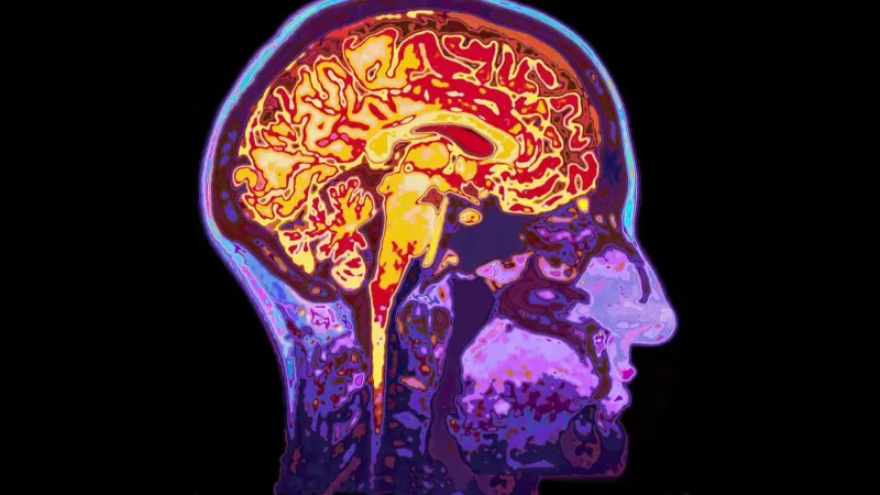 دراسة صادمة: جزيئات البلاستيك الدقيقة تتراكم في أدمغة البشر