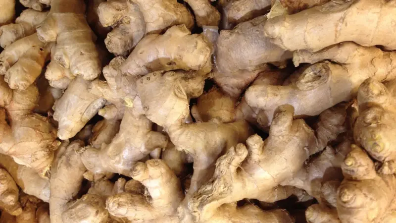 منها تخفيف آلام العضلات.. 5 فوائد صحية للزنجبيل