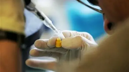 علماء يحولون خلايا المناعة داخل الأورام إلى قتلة للسرطان