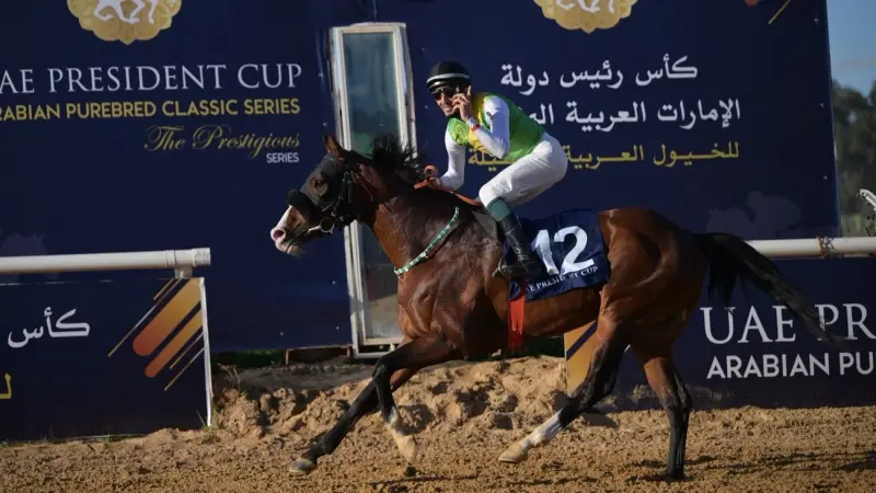 الجواد "آر بي بوي فريند" يتوج بلقب محطة تونس في كأس الخيول العربية