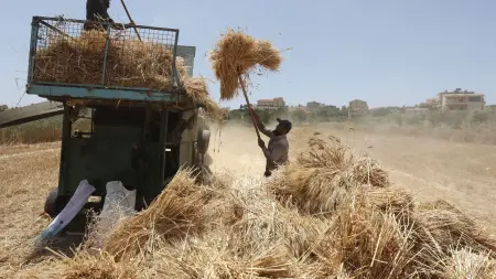 related_news_inside_blogsالشتاء الممطر في المغرب يضاعف محصول القمح