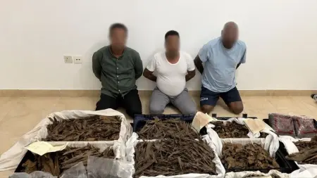 related_news_inside_blogsشرطة دبي تسقط عصابة سرقت عودا فاخرا بـ12 مليون درهم