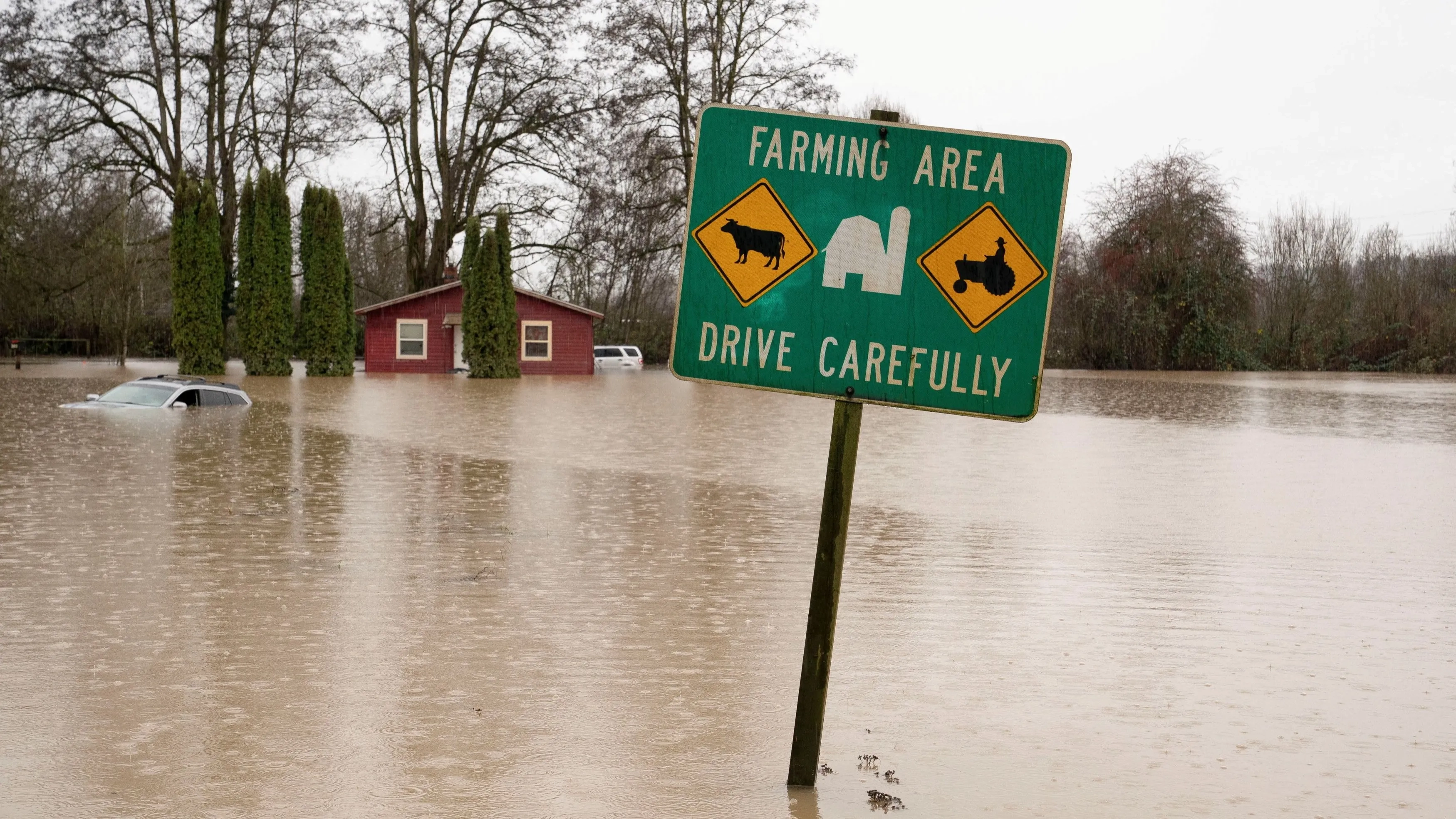 حصاد 2025 - رغم كوارث العام المميتة.. بعض الأخبار الإيجابية عن المناخ 