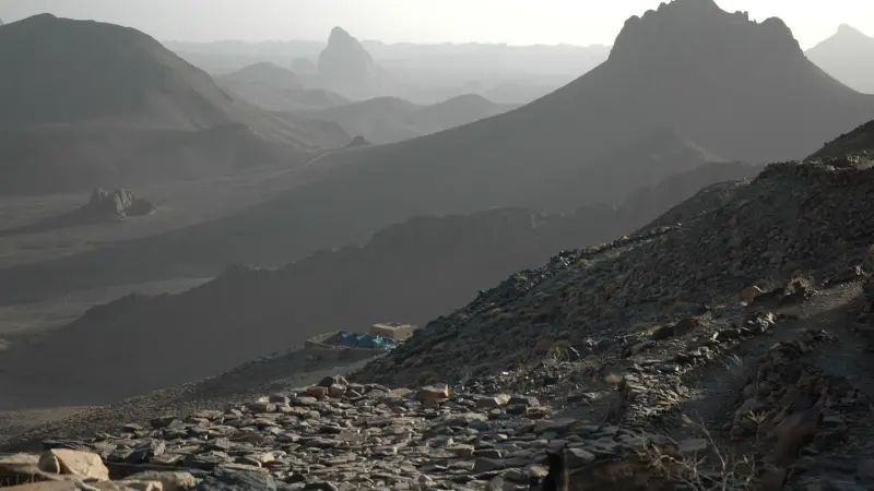هبوب رياح قوية.. أحوال الطقس في الجزائر