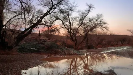 related_news_inside_blogsأمطار رعدية متوقعة.. تفاصيل طقس السعودية اليوم