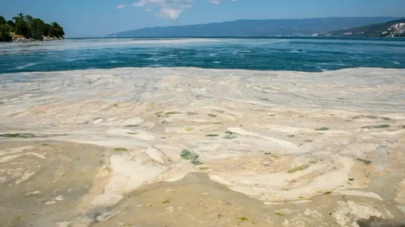 دراسة تكشف علاقة بحر مرمرة بالزلزال الكبير القادم