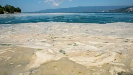 related_news_inside_blogsدراسة تكشف علاقة بحر مرمرة بالزلزال الكبير القادم