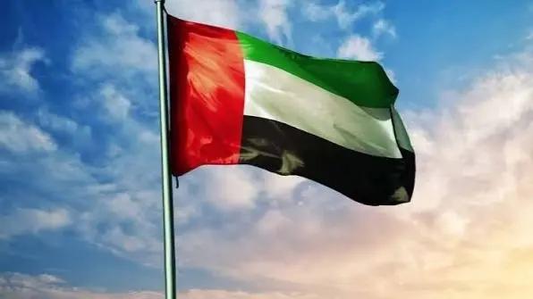 الإمارات تدين بشدة الهجوم الذي استهدف سفينتين في ميناء دمياط بمصر