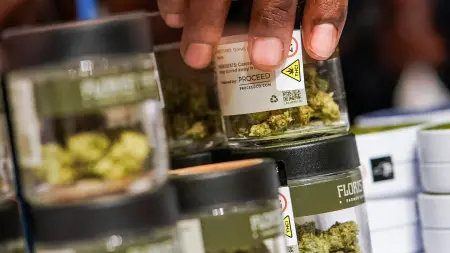 related_news_inside_blogsصيدليات القنب الرقمية تُثير أزمة في ألمانيا