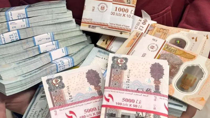 مصر.. التأمينات الاجتماعية تحدد موعد صرف معاشات فبراير 2026