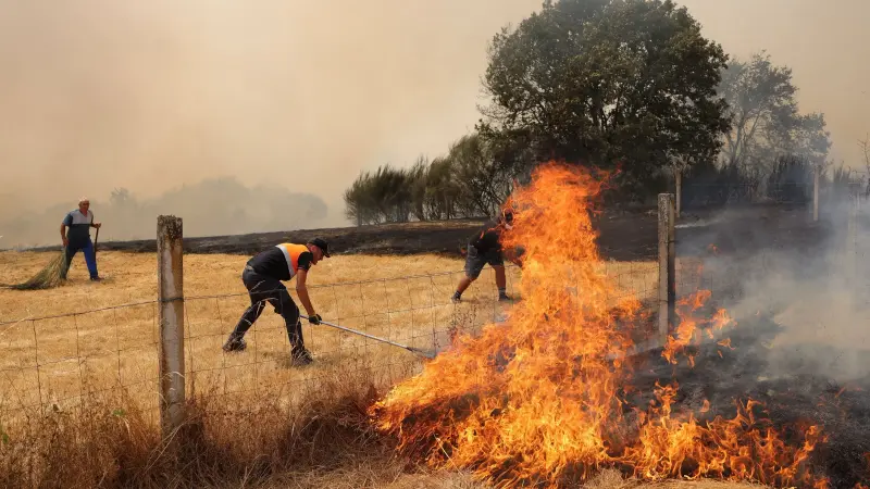 فيديو- فرق الإطفاء الإسبانية تواصل مكافحة حرائق الغابات